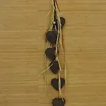 Saint Fleuret Otel Estaing (Aveyron)