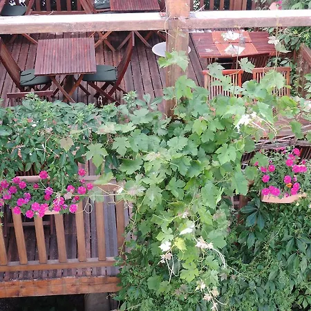 Saint Fleuret Estaing (Aveyron)