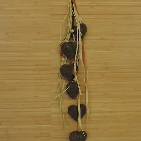 Saint Fleuret Hotel Estaing (Aveyron)