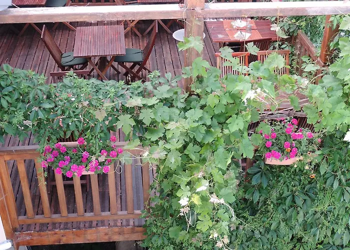 奥博格圣特福鲁特酒店 埃斯坦